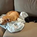 Ersteller:in Nadine Profilbild