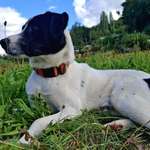 Ersteller:in Angie Profilbild