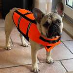 Ersteller:in Chris Profilbild