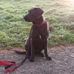 Ersteller:in Sabrina Profilbild