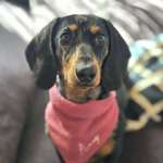 Ersteller:in Carina Profilbild