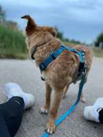 Suchmeldung-Penelope-Bild