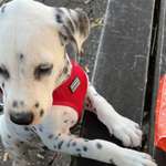 Ersteller:in Monika Profilbild