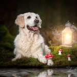 Ersteller:in Patricia Profilbild