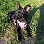 Ersteller:in Jada Mya Profilbild