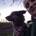 Ersteller:in Isabel Profilbild