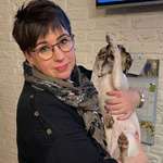 Ersteller:in Silke Profilbild