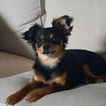 Ersteller:in Stephie Profilbild