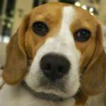 Ersteller:in Simone Profilbild