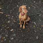 Ersteller:in Marion, Jörg Profilbild