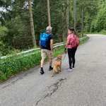 Ersteller:in Mariela Profilbild