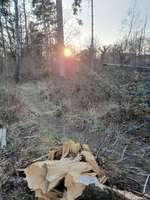 Hundeauslaufgebiet-Südpark/Sendlinger Wald-Bild