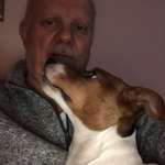 Ersteller:in Peter Profilbild