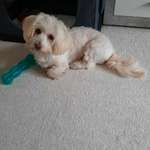 Ersteller:in Nicole Profilbild