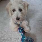 Ersteller:in Nicole Profilbild