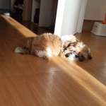 Ersteller:in Den Profilbild