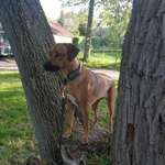 Ersteller:in Christina Profilbild