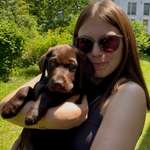 Ersteller:in Sarah Profilbild