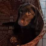 Ersteller:in Karin Profilbild