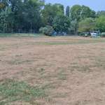 Hundeauslaufgebiet-Hundewiese Rülzheim-Bild