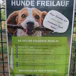 Hundeauslaufgebiet-Hundewiese Rülzheim-Bild