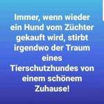 Ersteller:in Ingo Profilbild