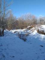 Hundeauslaufgebiet-Freizeitpark Marienfelde-Bild