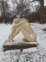 Hundeauslaufgebiet-Obersee-Bild