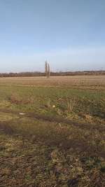 Hundeauslaufgebiet-Kleinziethen-Bild