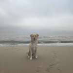 Ersteller:in Juliana Profilbild