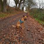 Ersteller:in Patrizia Profilbild