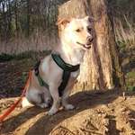 Ersteller:in Alissa Profilbild