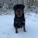 Ersteller:in tanem Profilbild