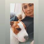 Ersteller:in Pinar Profilbild