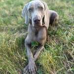 Ersteller:in Fabia Profilbild