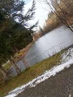 Hundeauslaufgebiet-Mautbrückner teich-Bild