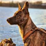 Ersteller:in Melissa Profilbild