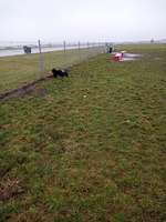 Hundeauslaufgebiet-Tempelhofer Feld Nordost-Bild