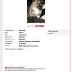 Suchmeldung-Henry-Bild