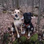 Ersteller:in Michelle Profilbild