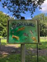 Hundeauslaufgebiet-Julianenpark-Bild