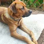 Ersteller:in Hans-Jürgen Profilbild