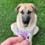 Ersteller:in Lena Profilbild