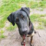 Ersteller:in Kerstin Profilbild