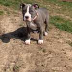 Ersteller:in Emelie Profilbild