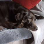 Ersteller:in Meggi Profilbild