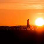 Ersteller:in Vanessa Profilbild