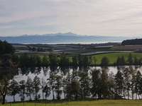 Hundeauslaufgebiet-Vom Schleinsee zum Degernsee-Bild