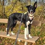 Ersteller:in Anna-Lena Profilbild