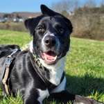 Ersteller:in Anna-Lena Profilbild